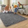Ophanie Area Rugs for Bedroom, Upgrade Non-Slip Grey Fluffy Soft Shag Carpet, Indoor Floor Gray 4x6 Fuzzy Shaggy Living Room Plush Rug for Kids...